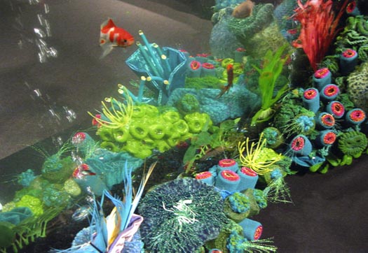 detail aquarium